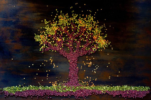 Quelle méthode adopter pour faire des yaourts végétaux maison avec une yaourtière ?